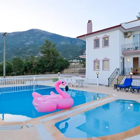 Paradise 别墅 *